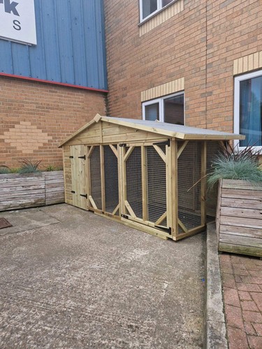 Single dog kennel - dog,