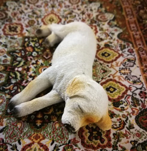 Dolls house dog labrador - house,