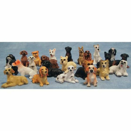 Dog choice doggo s - of, 24