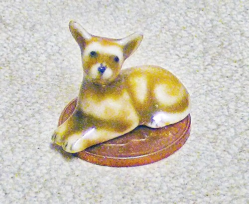Dolls house chihuahua puppy - dolls,