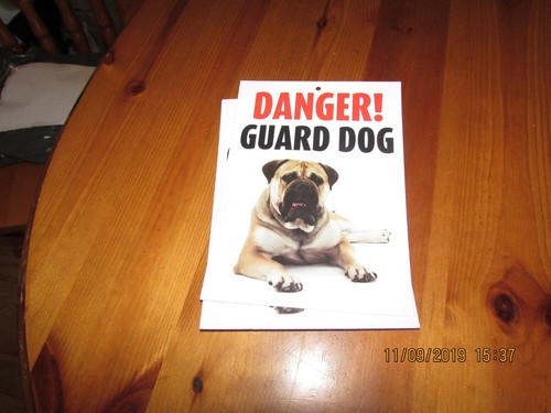 Danger guard dog comedy - guard,