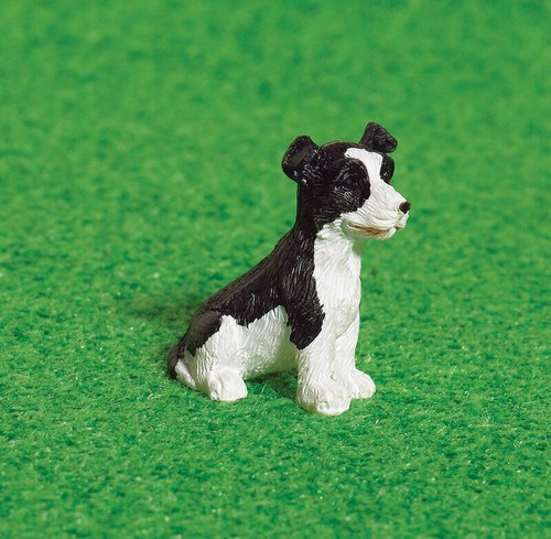 Benji the border collie pup - benji,